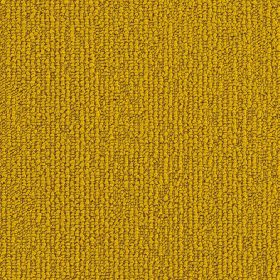 Darwin 33 (25x100cm)1